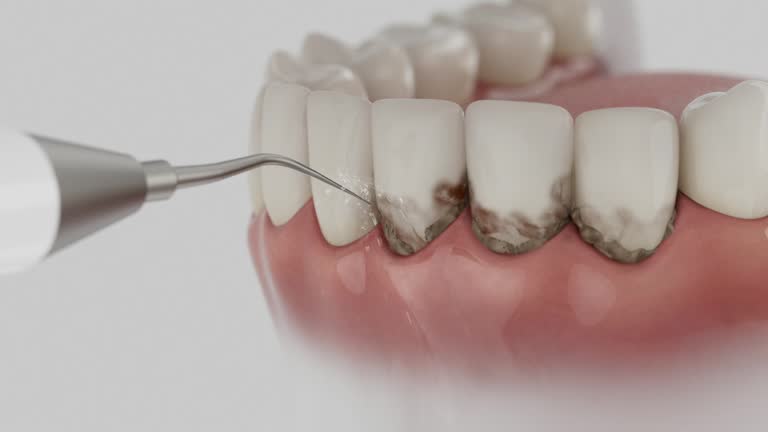 Reliable Dental contractor in Crandon, WI by Dentist Open Now
